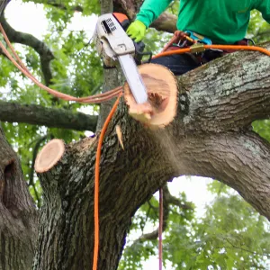 Flipcard Icon Frame 1