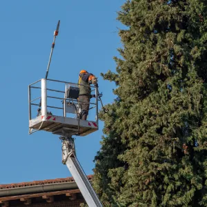 Flipcard Icon Frame 2