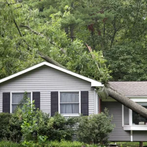 Flipcard Icon Frame 3