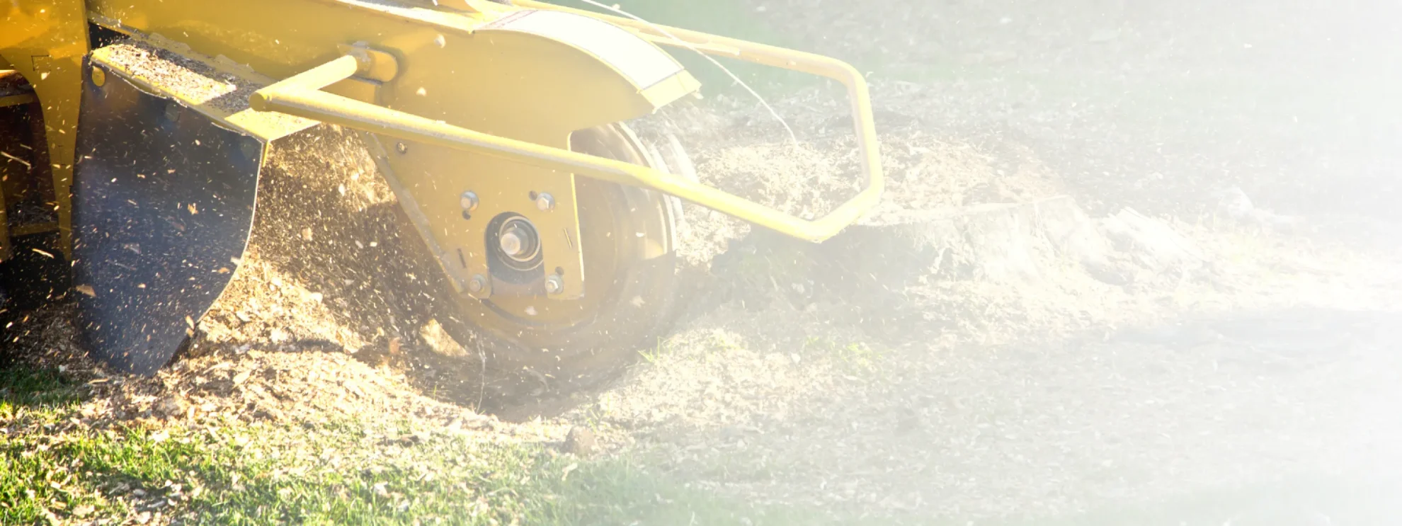 What We Do Background Frame